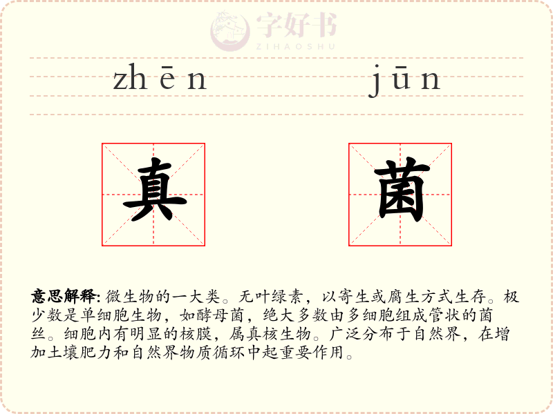 真菌