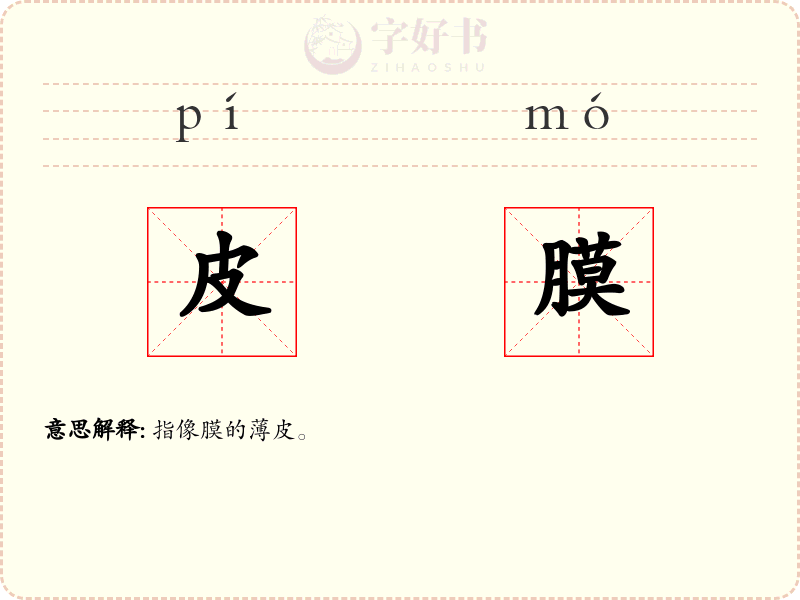 皮膜