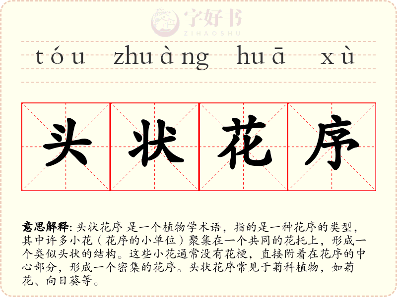 头状花序