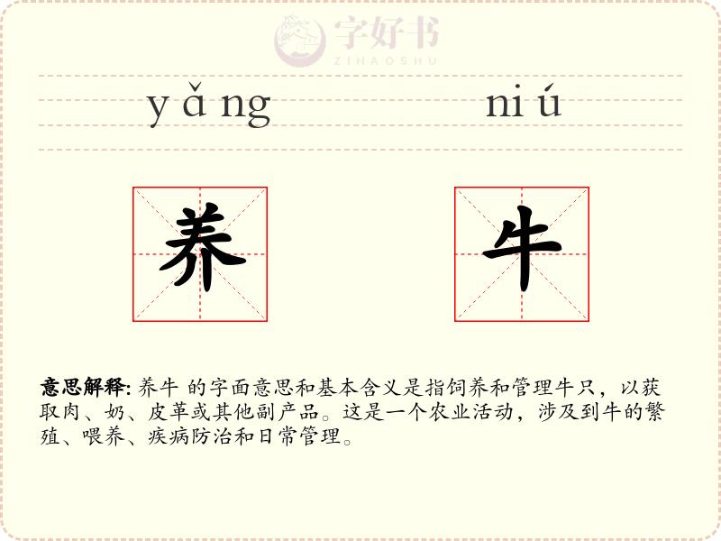 养牛