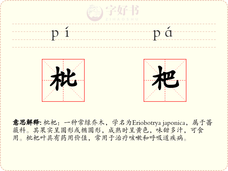 枇杷