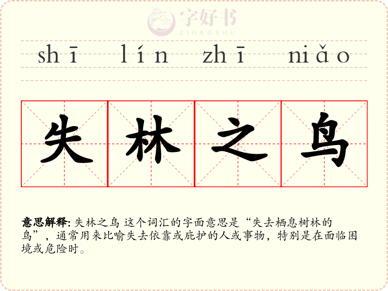 失林之鸟
