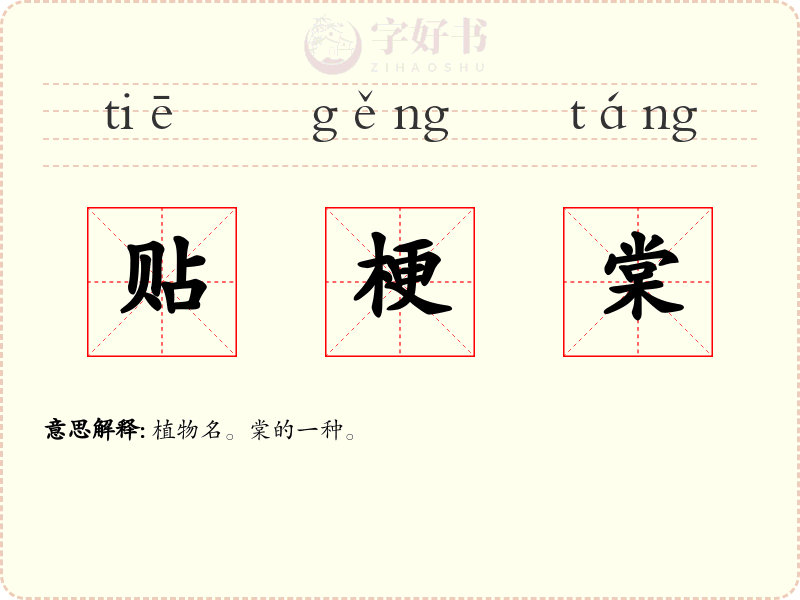 贴梗棠