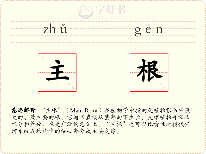 主根