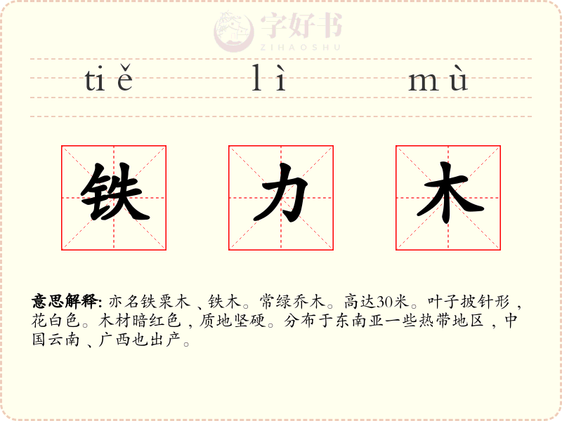 铁力木