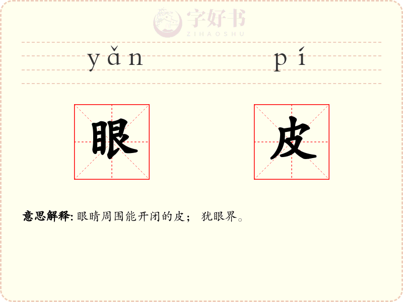 眼皮