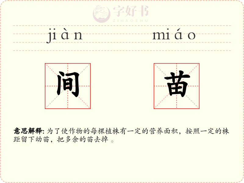 间苗
