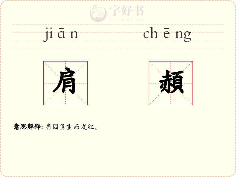 肩頳