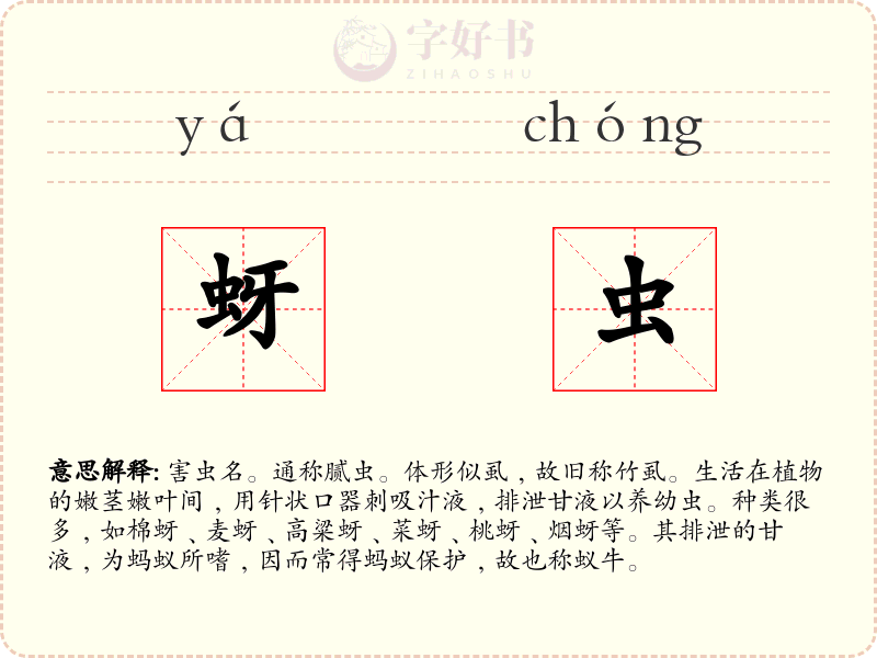 蚜虫
