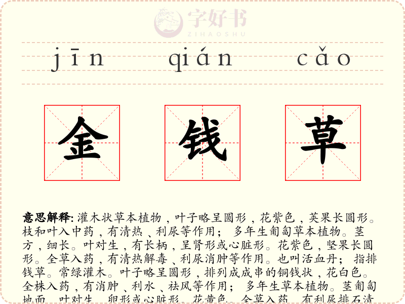 金钱草