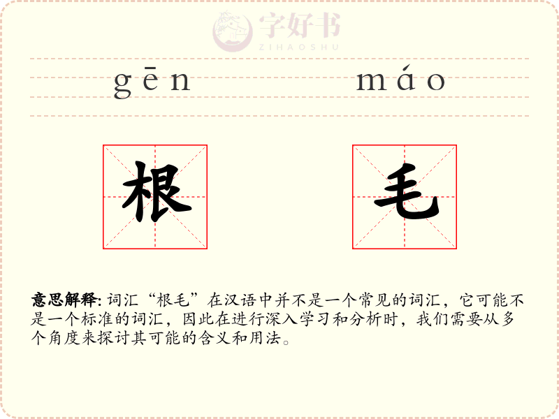 根毛