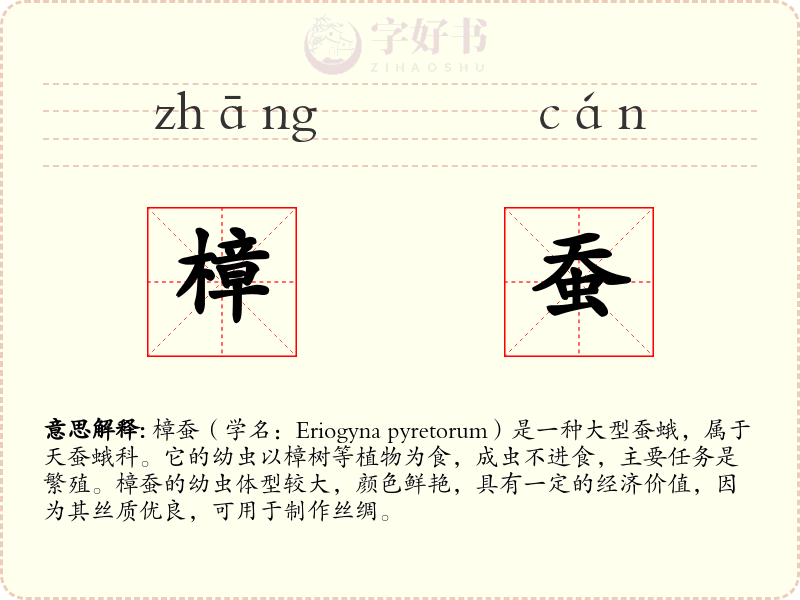 樟蚕