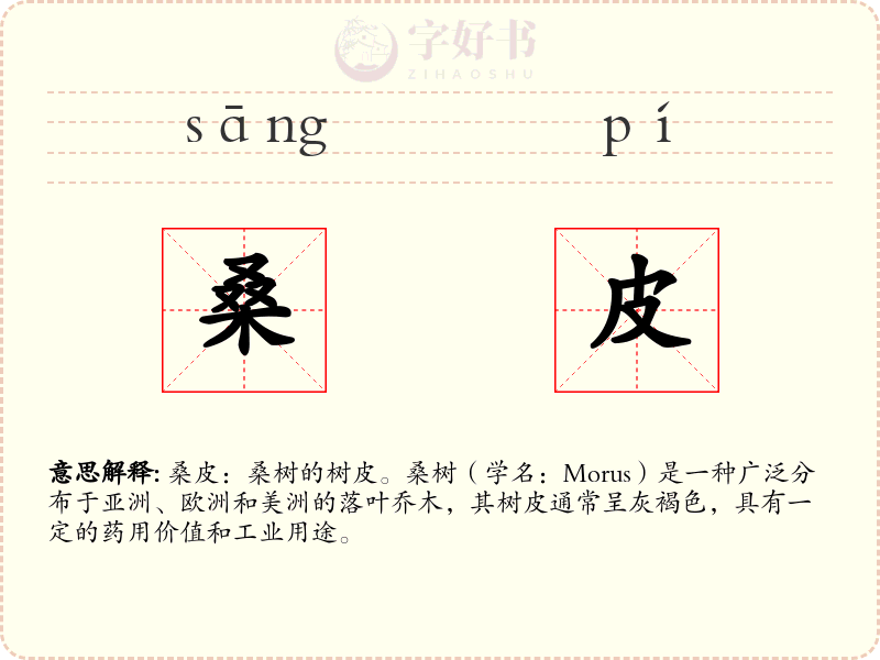 桑皮