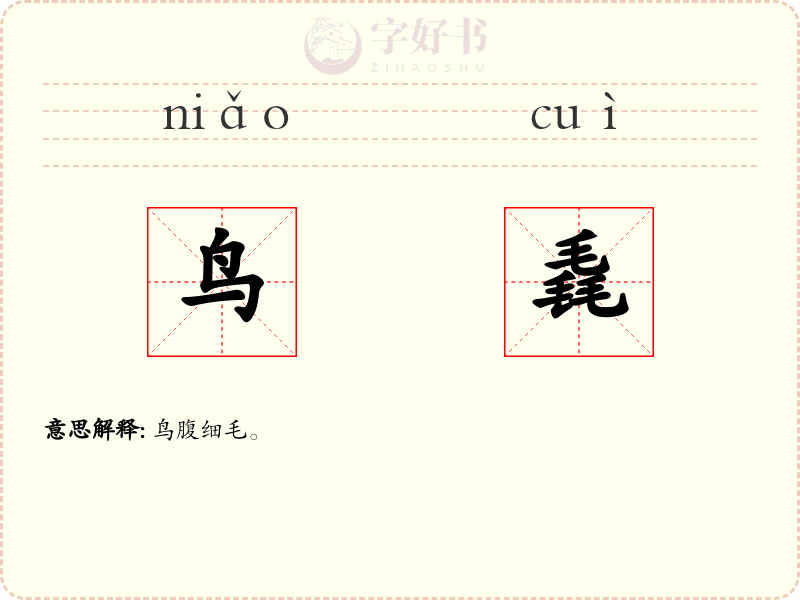 鸟毳