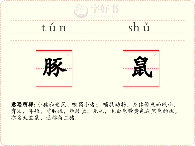 豚鼠