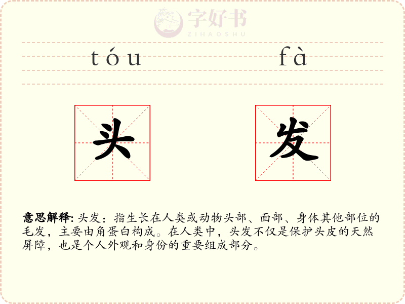 头发