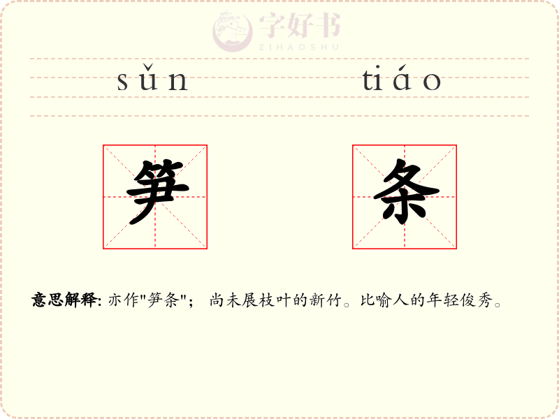 笋条