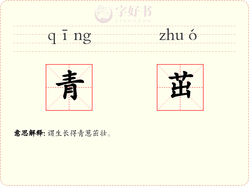 青茁