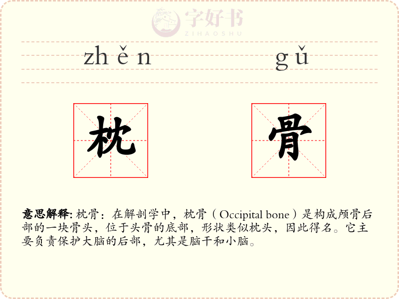 枕骨