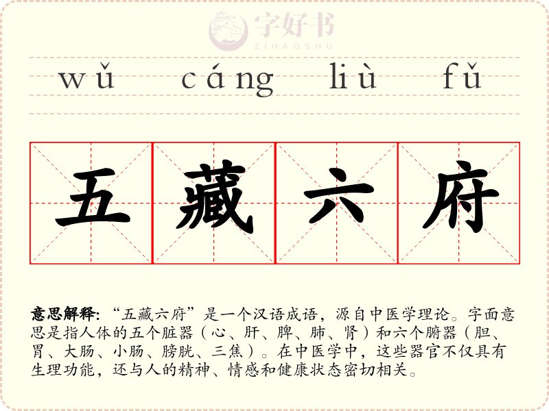 五藏六府