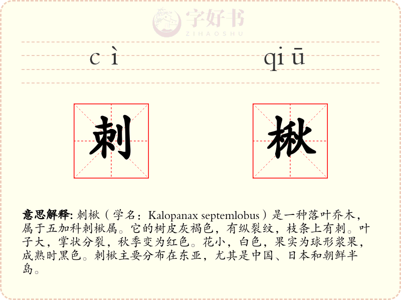 刺楸