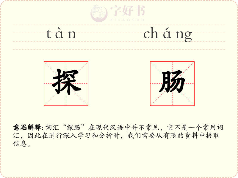 探肠