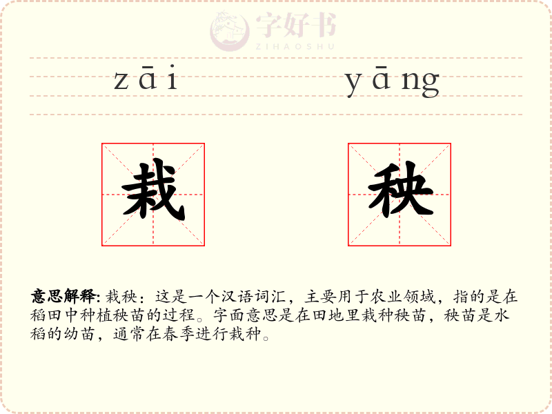 栽秧