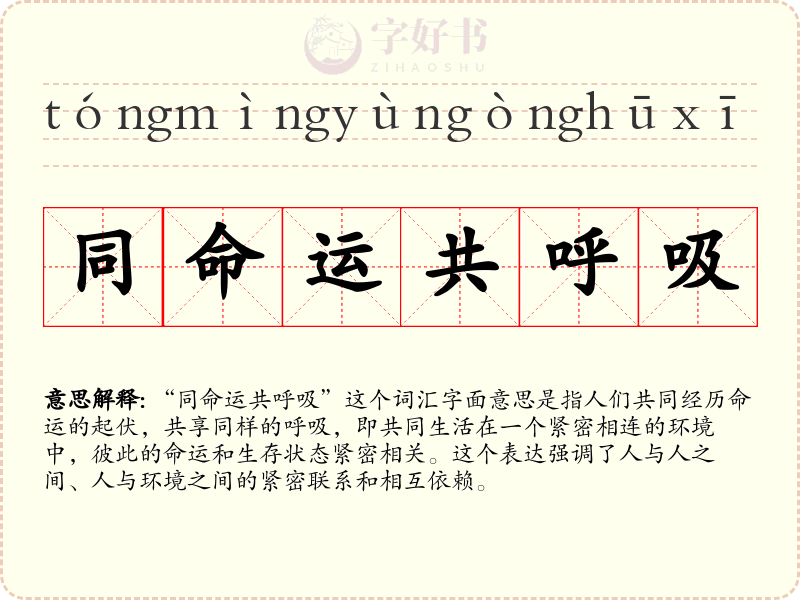 同命运共呼吸