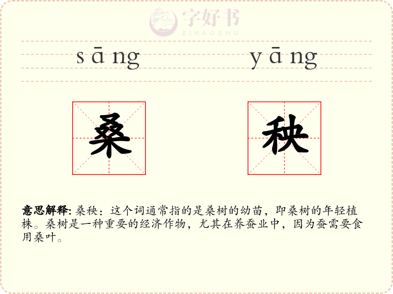 桑秧