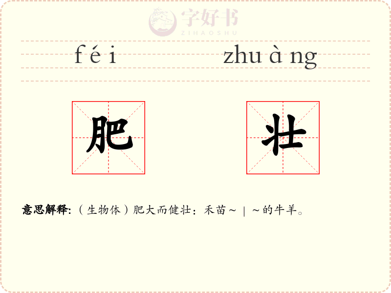 肥壮