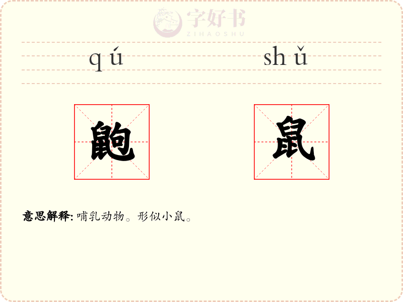 鼩鼠