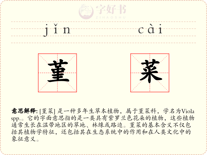 堇菜