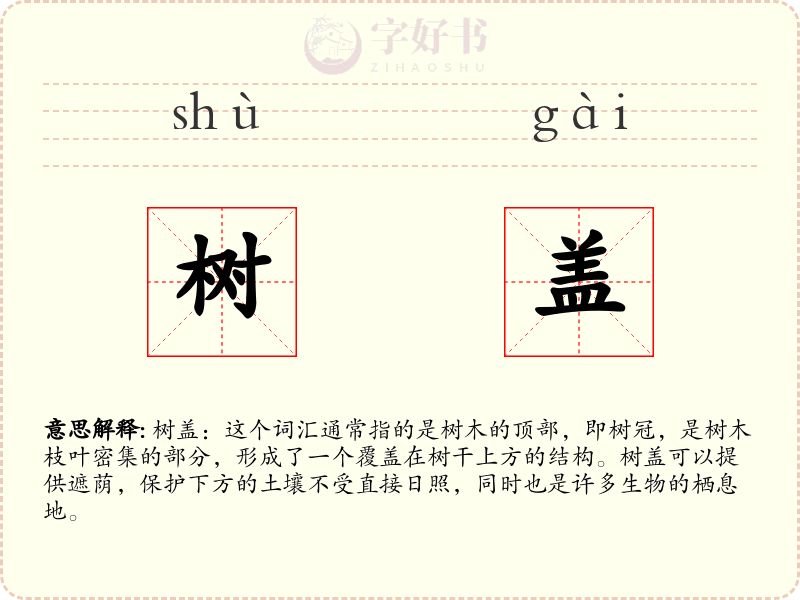 树盖