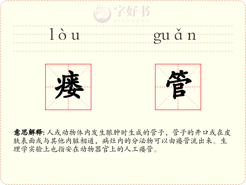 瘘管