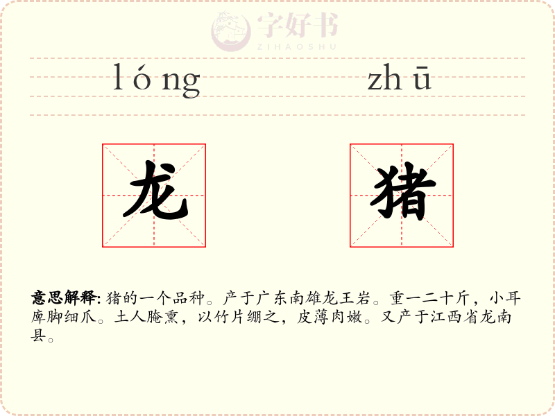龙猪