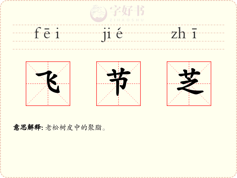飞节芝