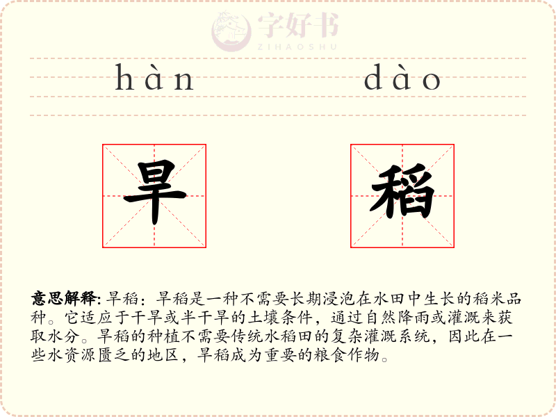 旱稻