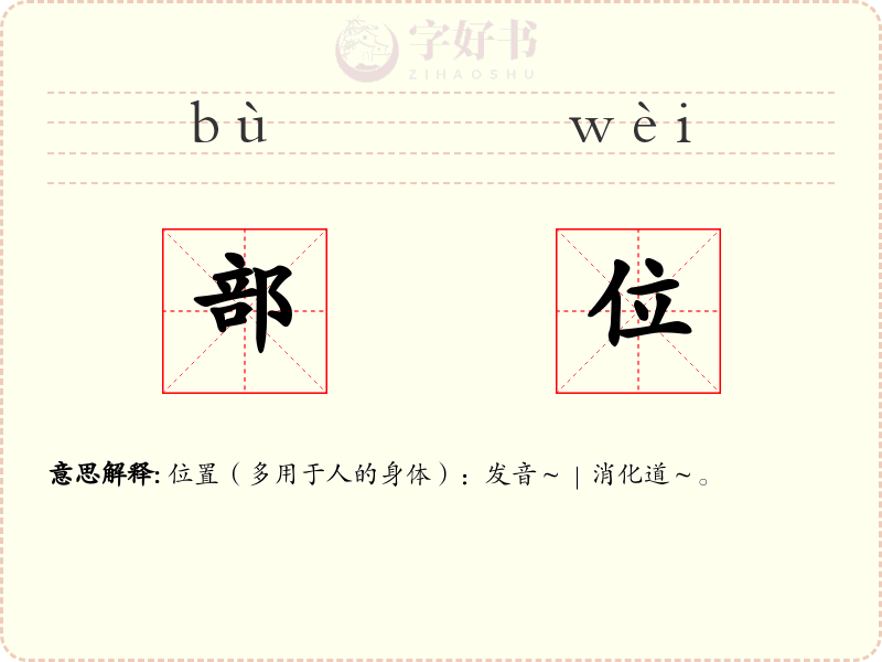 部位