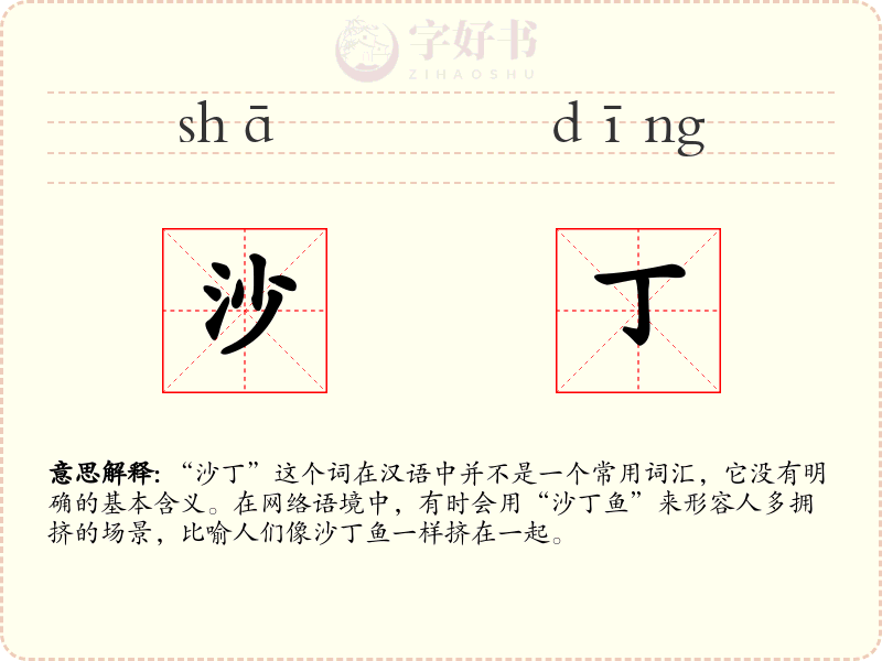 沙丁
