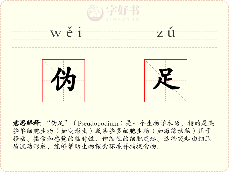 伪足