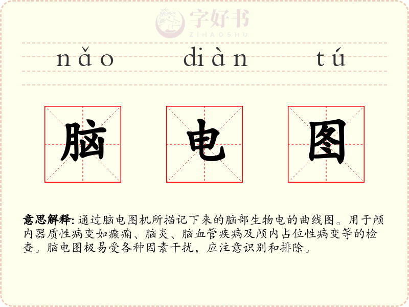 脑电图