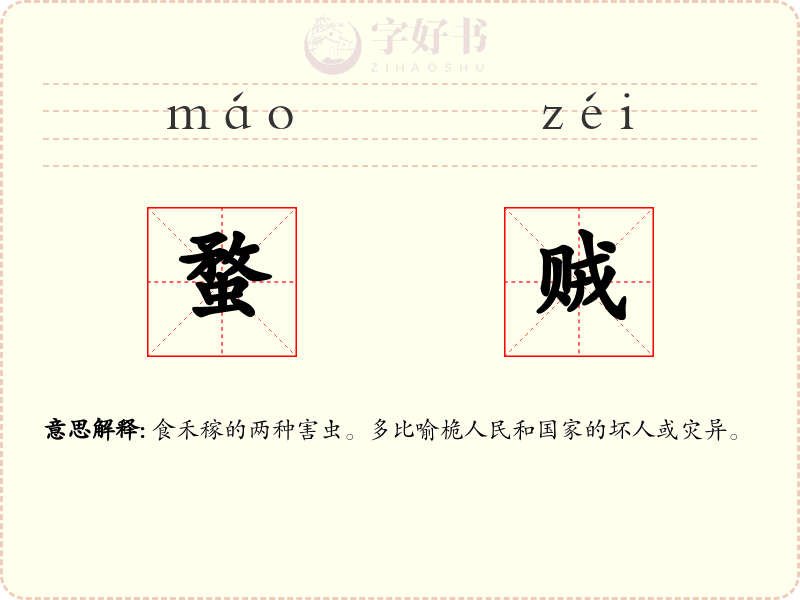 蝥贼