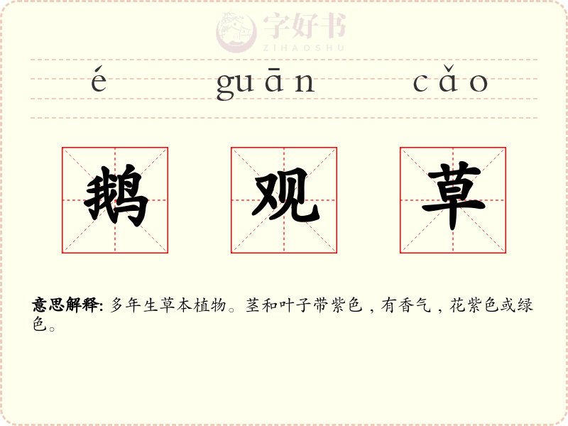 鹅观草