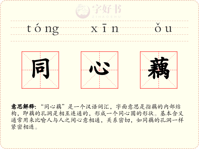 同心藕
