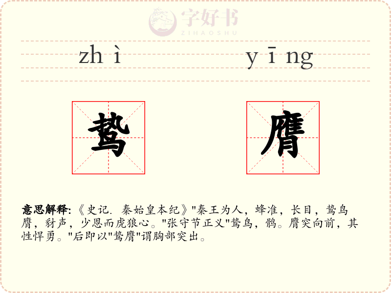 鸷膺