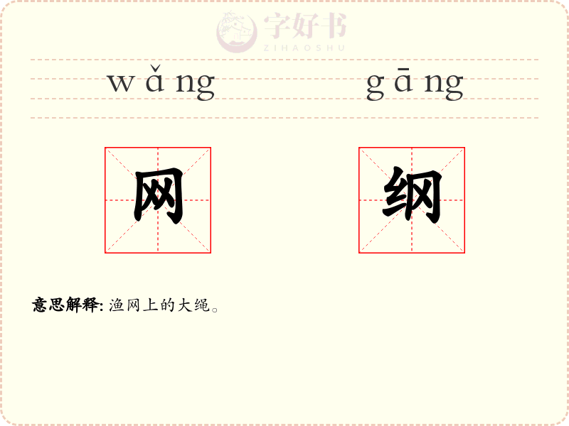 网纲