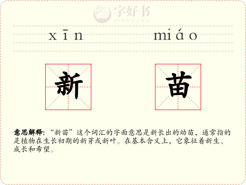 新苗