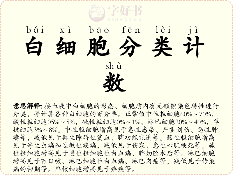 白细胞分类计数