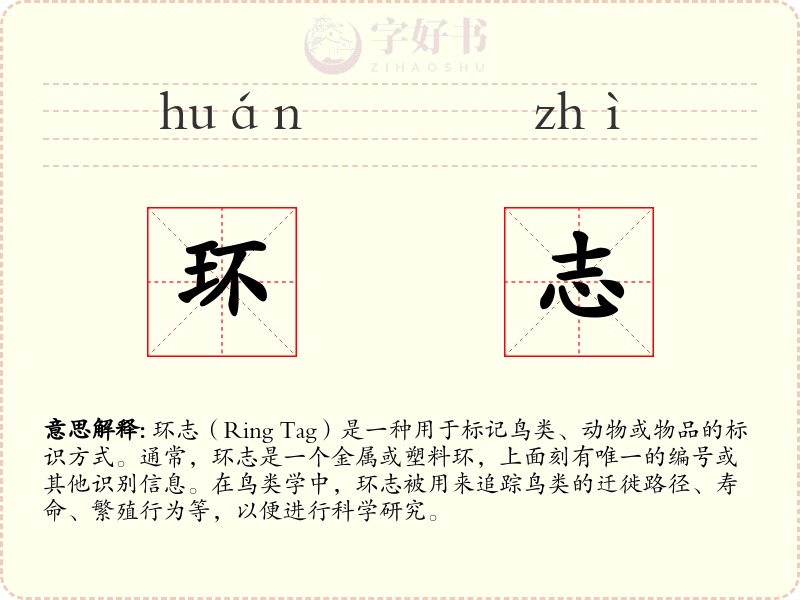 环志