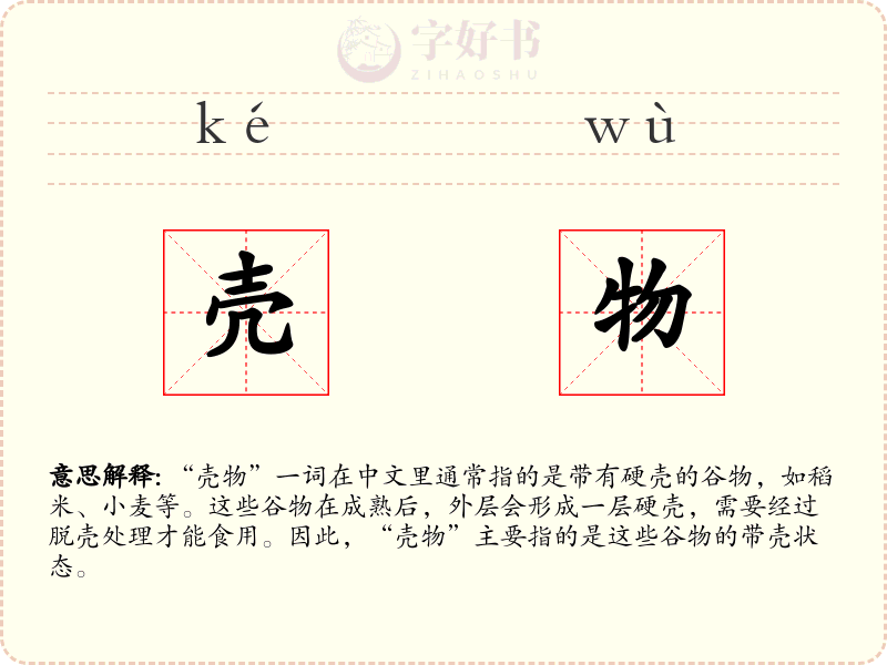 壳物